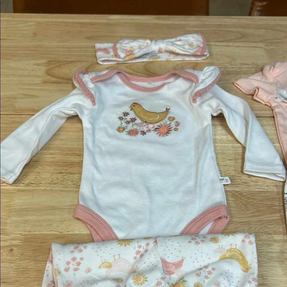 Baby Girls Pink and White Floral & chicken Two-Piece Set